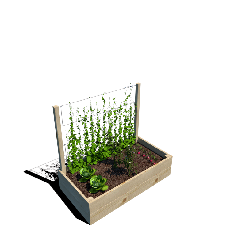 Warzywnik 120x65x105x29 rośliny v4.png