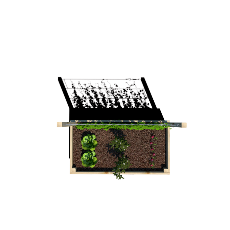 Warzywnik 120x65x105x29 rośliny v5.png