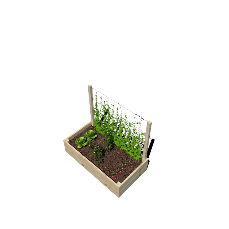 Warzywnik 120x65x105x29 rośliny v6.png