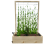 Warzywnik 120x65x180x29 rośliny v1.png