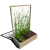 Warzywnik 120x65x180x29 rośliny v4.png