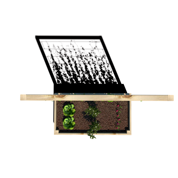 Warzywnik 120x65x180x29 rośliny v5.png