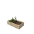 Warzywnik 120x65x29 rośliny v2.png
