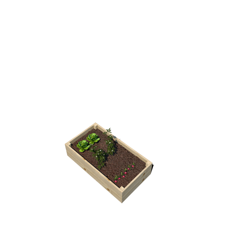 Warzywnik 120x65x29 rośliny v6.png