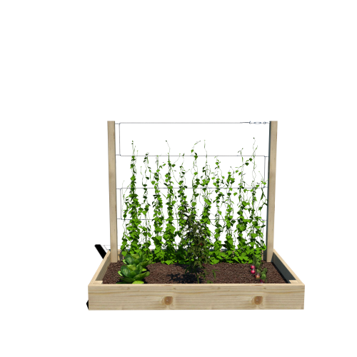 Warzywnik 120x62x105x14.5 rośliny v1.png