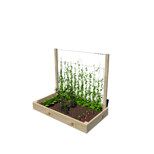 Warzywnik 120x62x105x14.5 rośliny v2.png