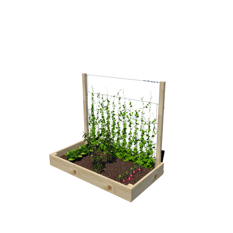 Warzywnik 120x62x105x14.5 rośliny v2.png