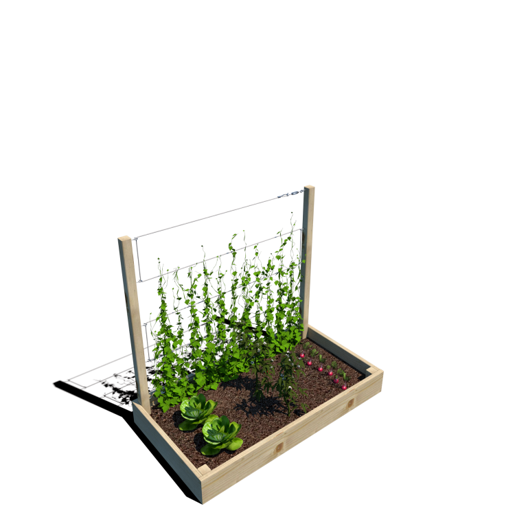 Warzywnik 120x62x105x14.5 rośliny v4.png
