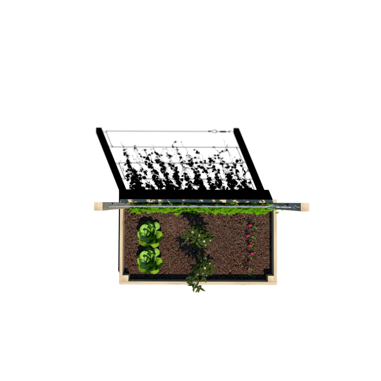 Warzywnik 120x62x105x14.5 rośliny v5.png