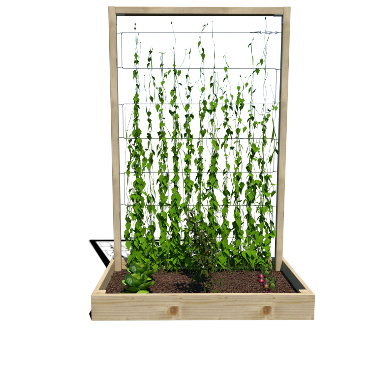 Warzywnik 120x65x180x14.5 rośliny v1.png