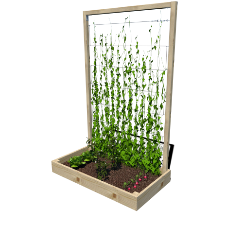 Warzywnik 120x65x180x14.5 rośliny v2.png