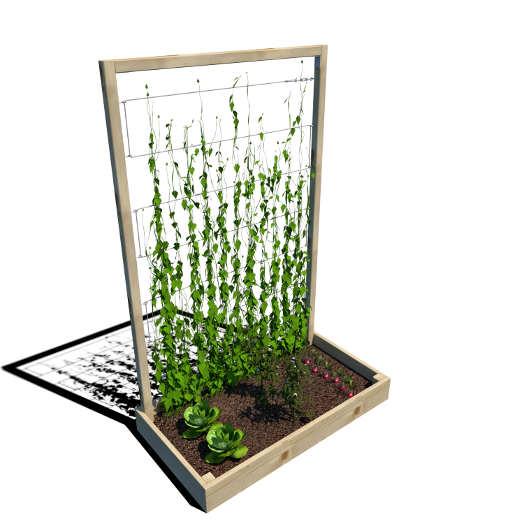 Warzywnik 120x65x180x14.5 rośliny v4.png