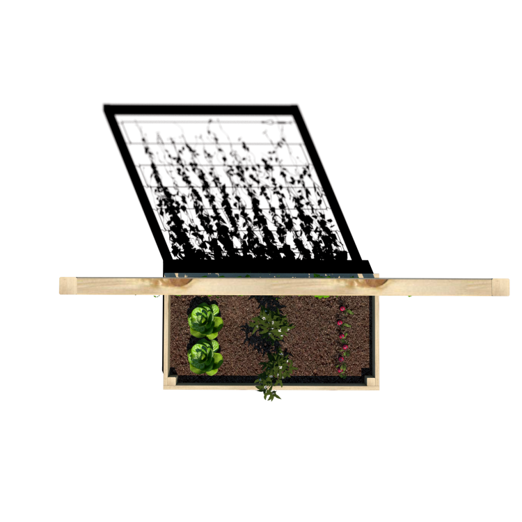 Warzywnik 120x65x180x14.5 rośliny v5.png