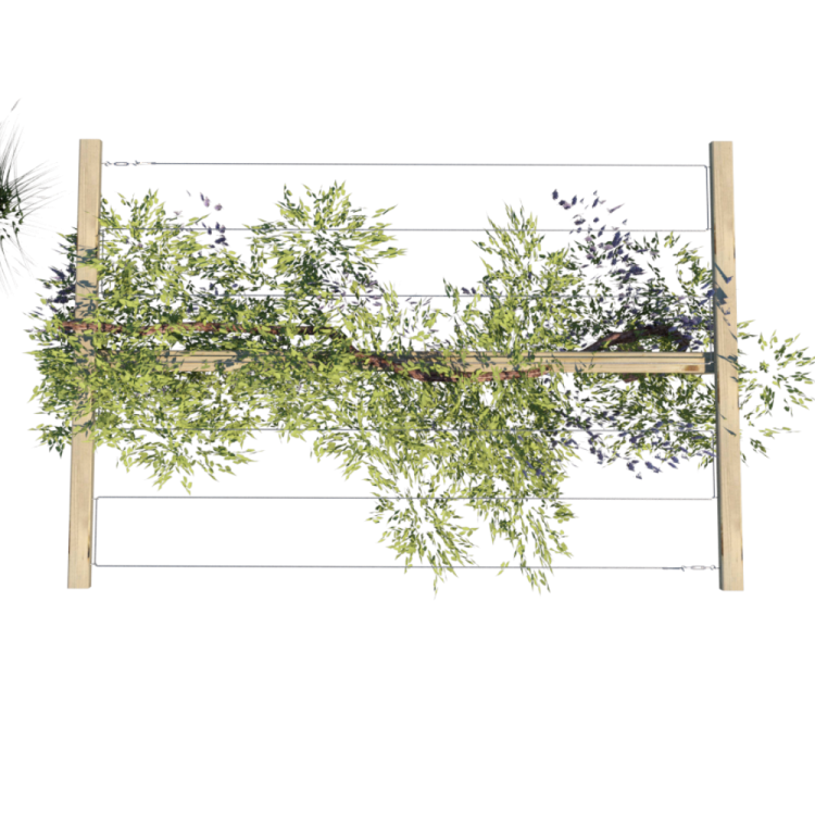 Pergola T 210x224x150 render rolśliny v5 c.png