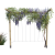 Pergola T 210x224x150 render rośliny v1 c.png