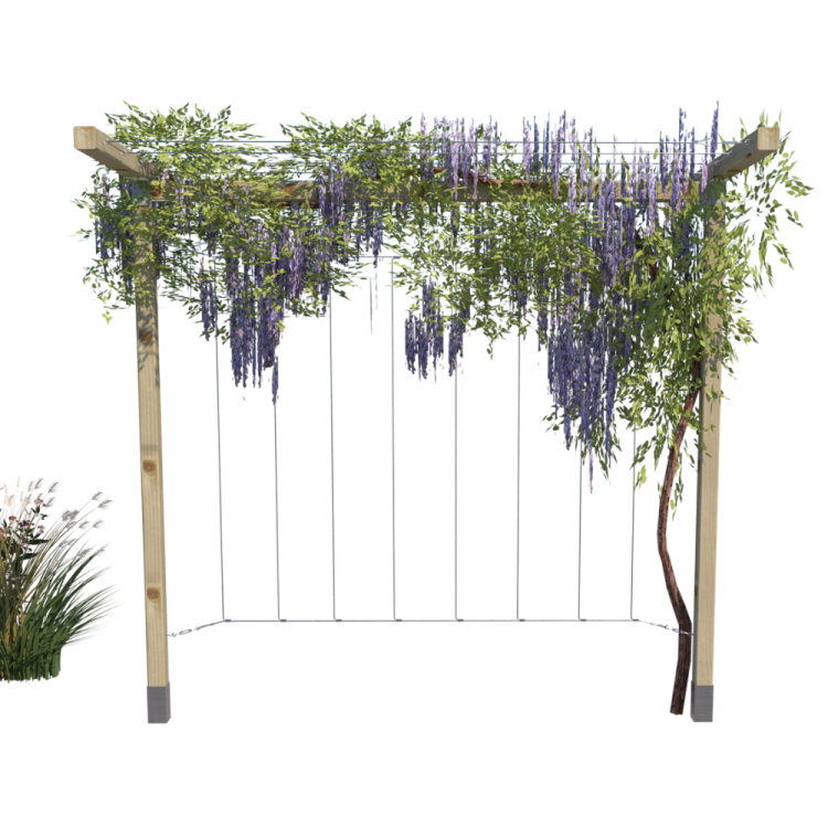 Pergola T 210x224x150 render rośliny v1 c.png
