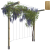 Pergola T 210x224x150 render rośliny v4 c zieleń.png