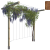 Pergola T 210x224x150 render rośliny v4 c ciemny dąb.png