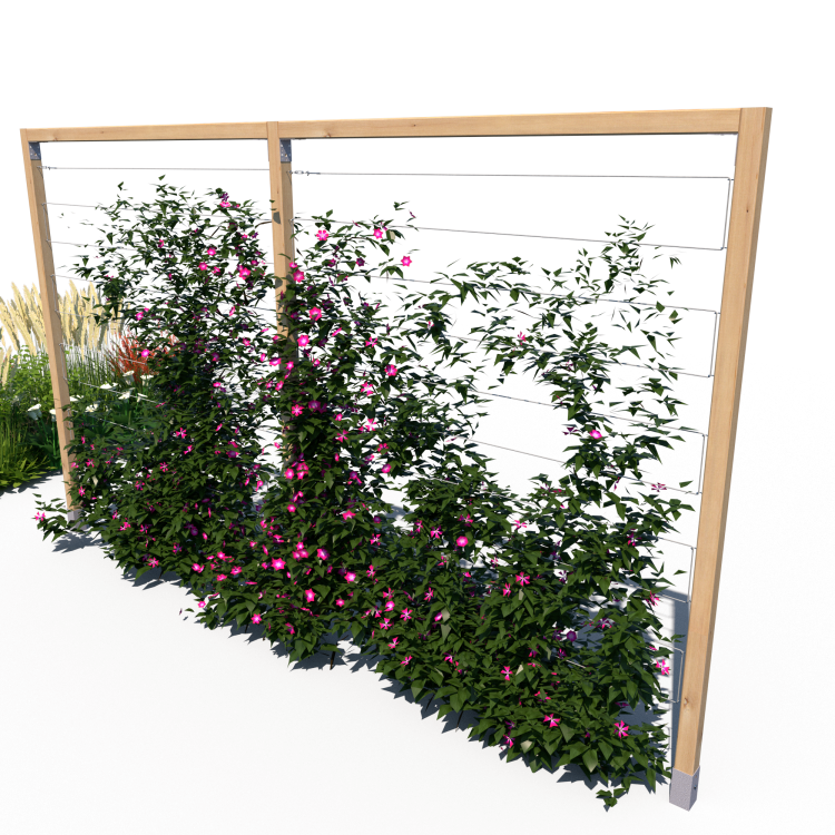 Pergola R 240x400 model v2 rosliny.png