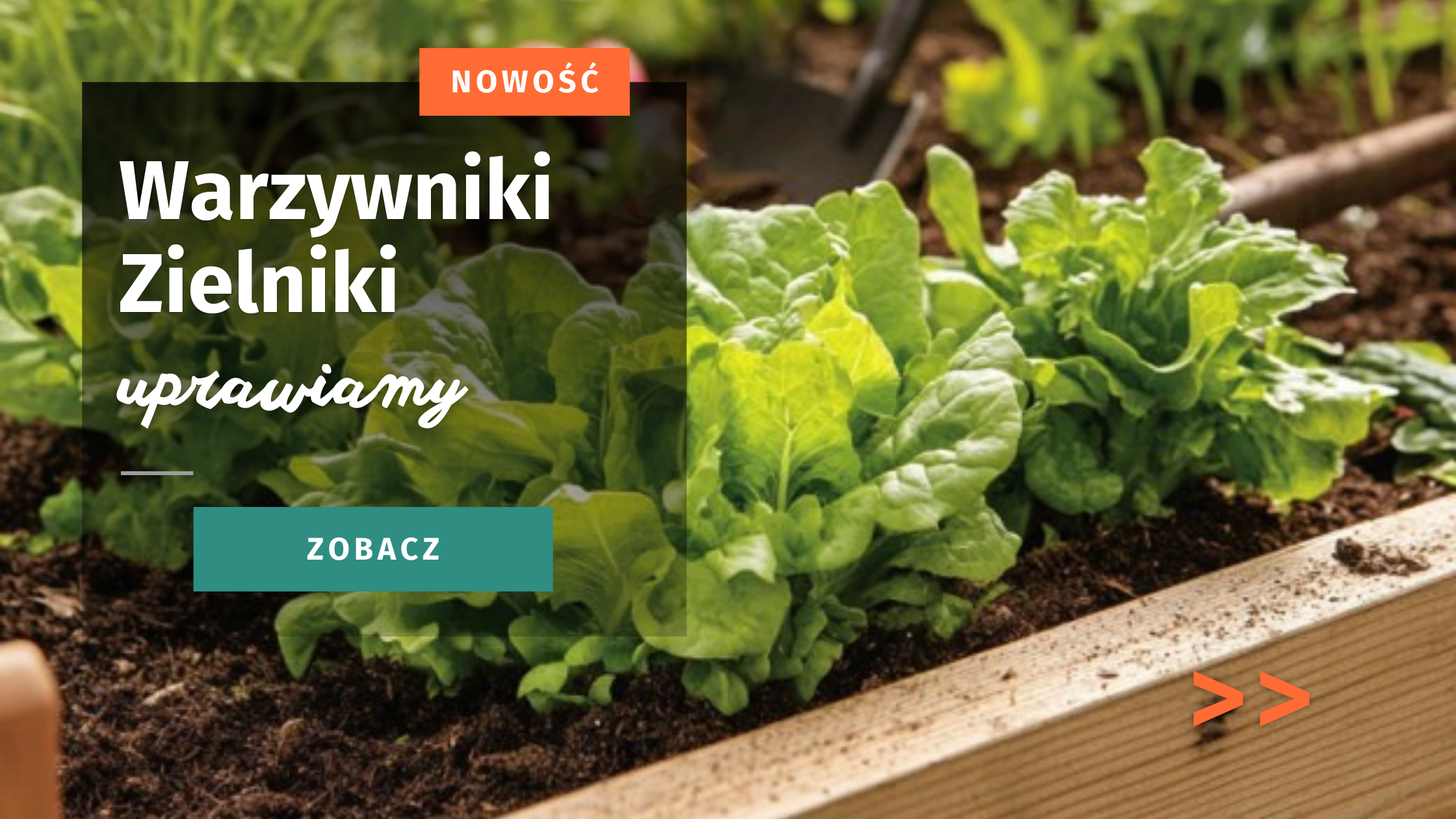 warzywniki