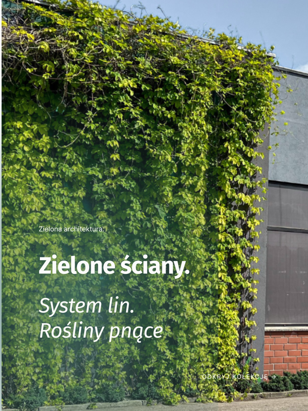 ZIELONE ŚCIANY - GREENSTRAND SYSTEM
