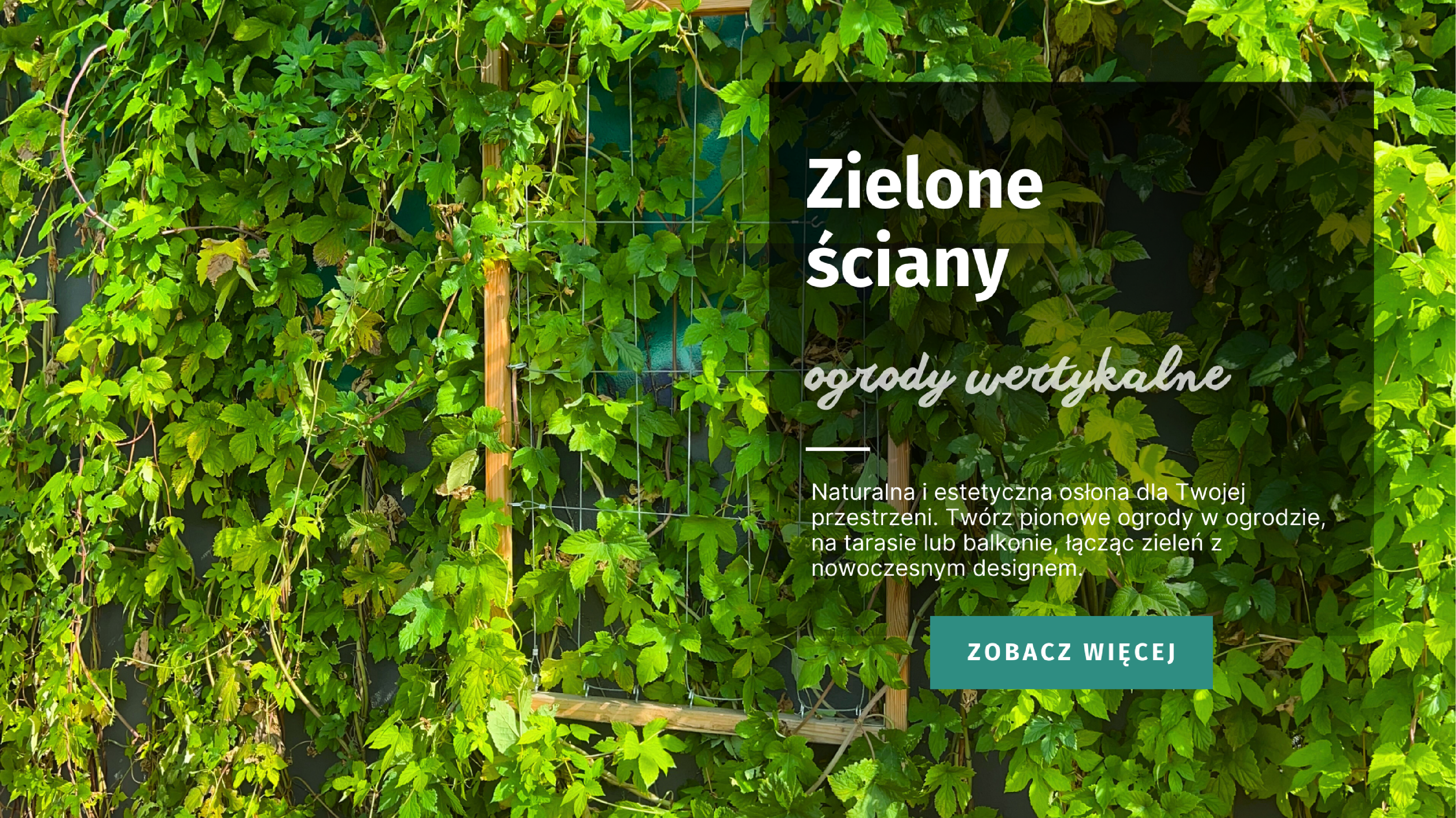 zielona ściana