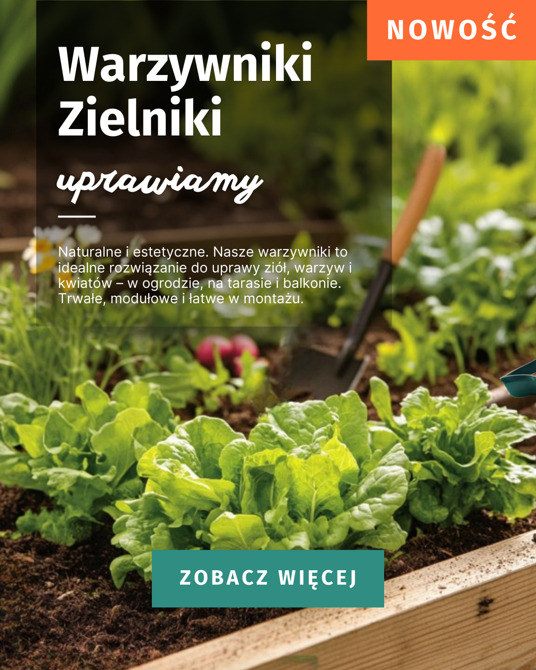 warzywniki rabaty grządki inspekty