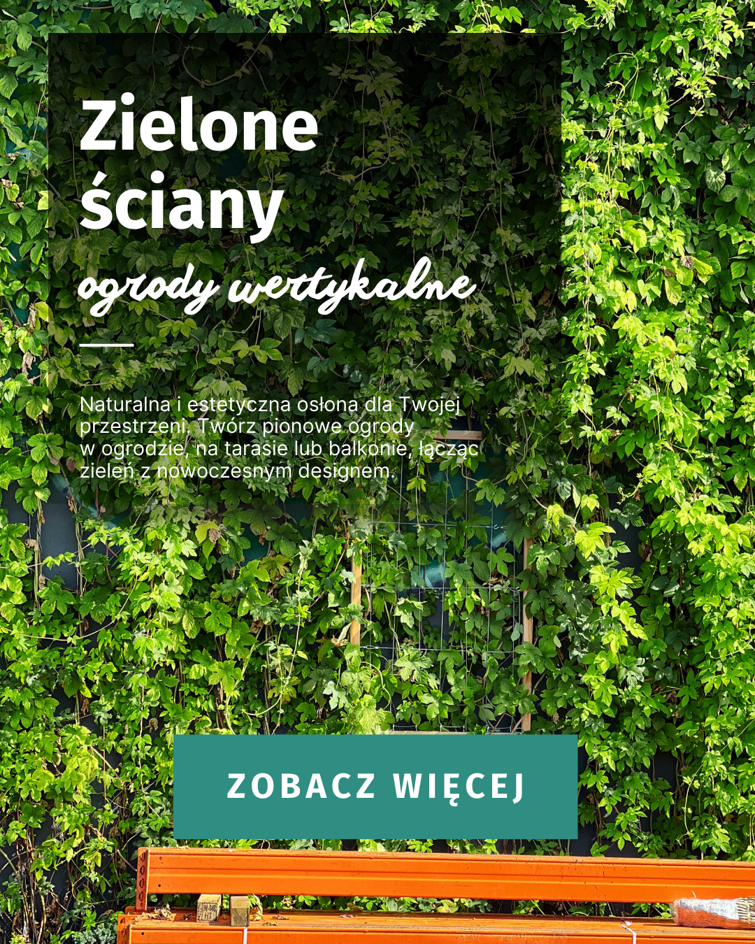 zielone ściany