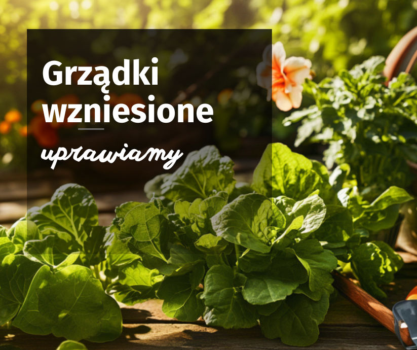 Grządki wzniesione